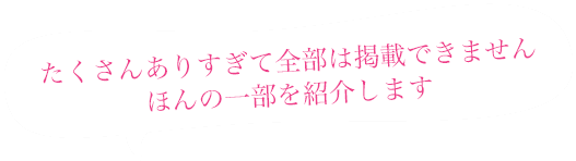 たくさんありすぎて全部は掲載できません ほんの一部を紹介します