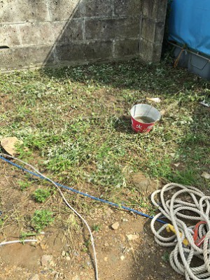 ファイル_000 (34)